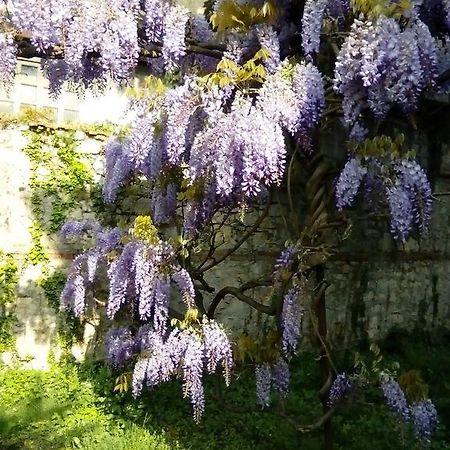 Villa Osmanthus Vicenza Buitenkant foto